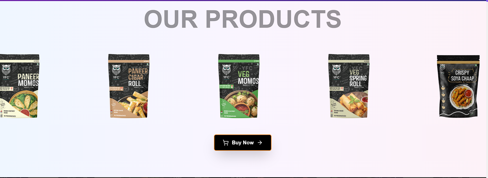 custom website for frozen food startup - Image 2